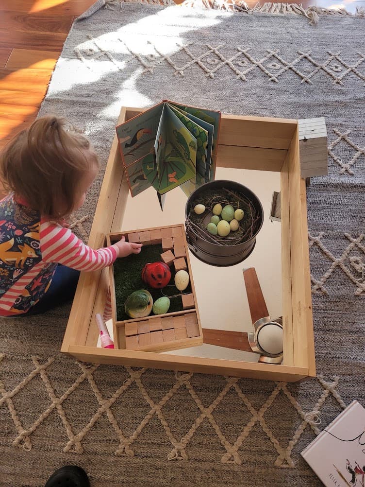 Exploring the natural world, Reggio Emilia-style